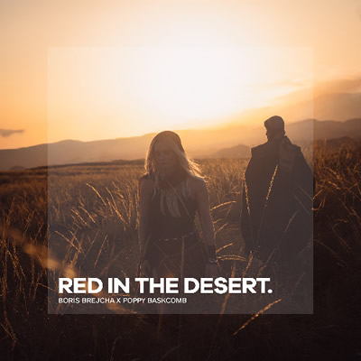 Pochette de Red in the desert