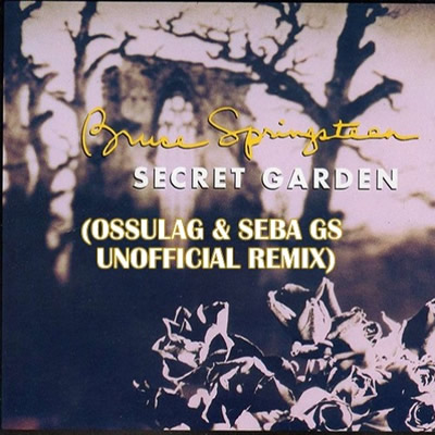 Pochette de Secret garden (Ossulag and Seba GS unofficial remix)