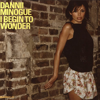 Pochette de I begin to wonder