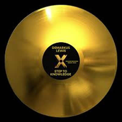 Pochette de Vibe patrol