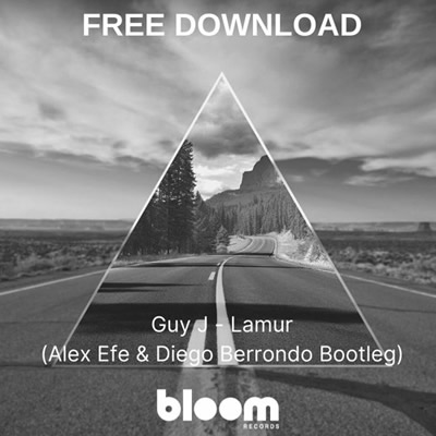 Pochette de Lamur (Alex Efe & Diego Berrondo bootleg)