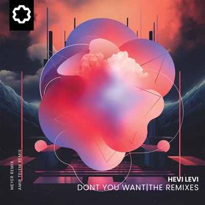 Pochette de Don't you want (Radio mix)