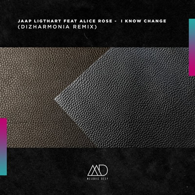 Pochette de I know change (Dizharmonia remxi)