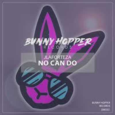 Pochette de No can do