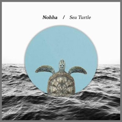 Pochette de Seaturtle