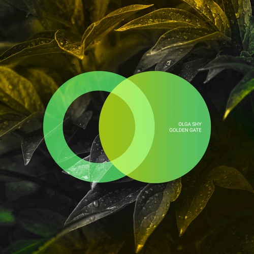 Pochette de Golden gate