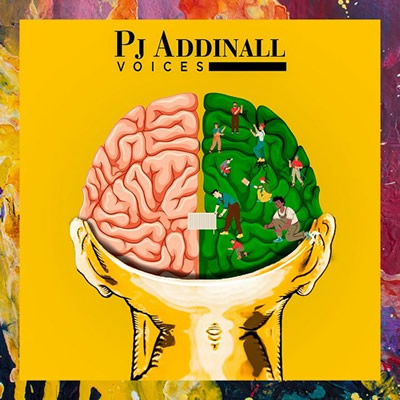 Pochette de Voices