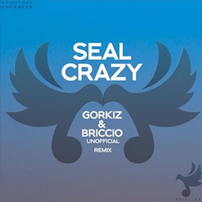 Pochette de Crazy (Gorkiz and Briccio unofficial remix)