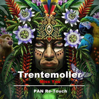 Pochette de Miss you (P A N Re-touch)