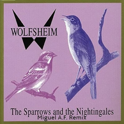 Pochette de The Sparrows and nightingales (Miguel A.F. progressive mix)