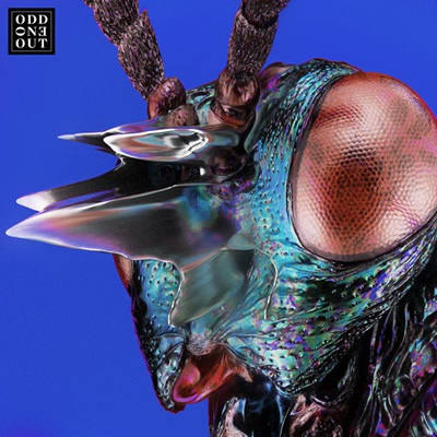 Pochette de 'Nova (Cassian remix)